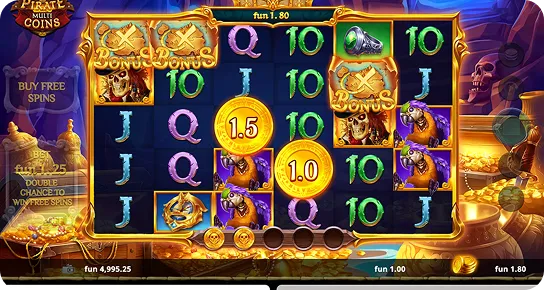 Pirate Multi Coins 1